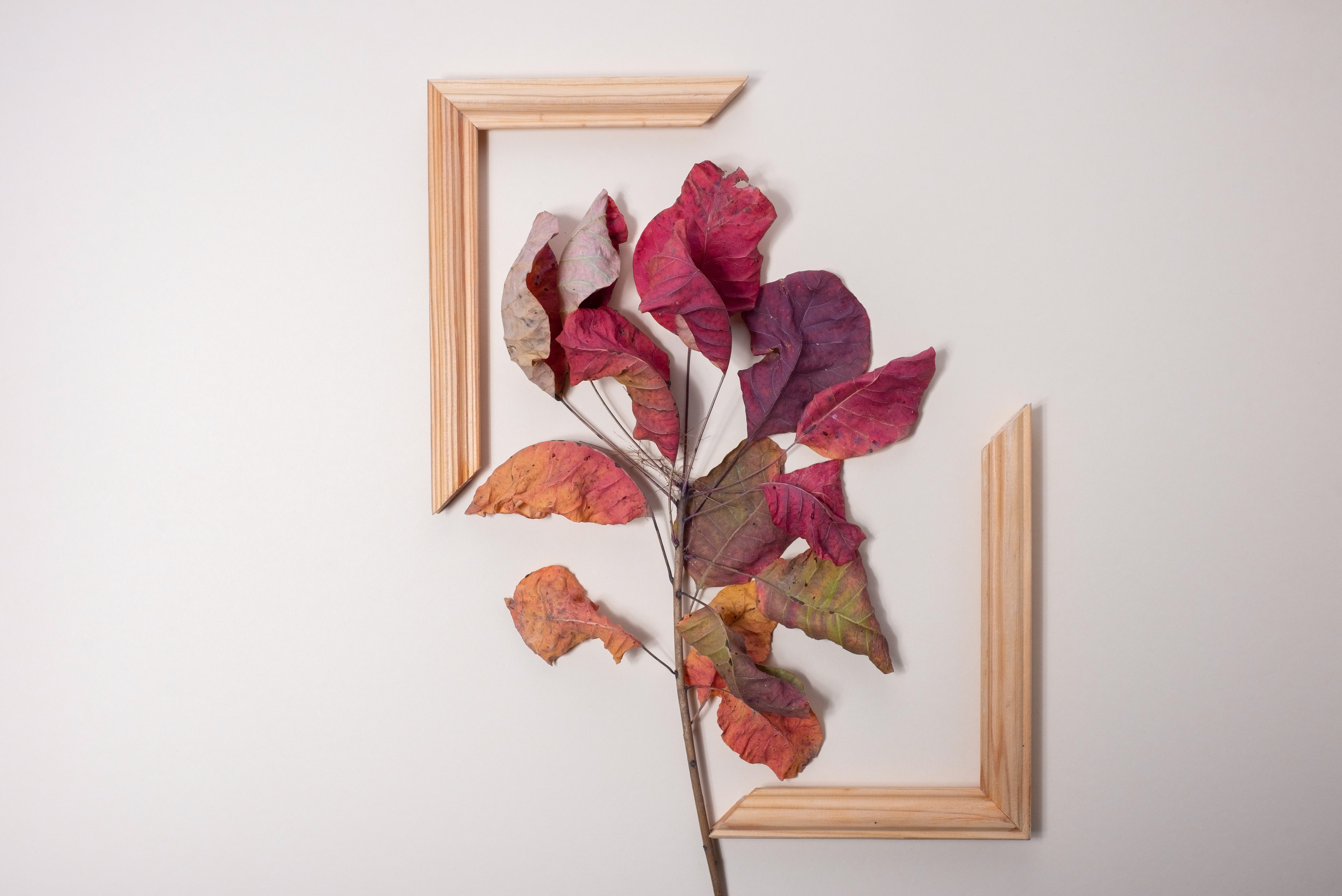 A modern art of autumn leaves inside a beige frame